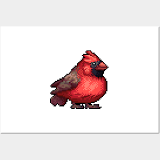 Pixel Cardinal Posters and Art